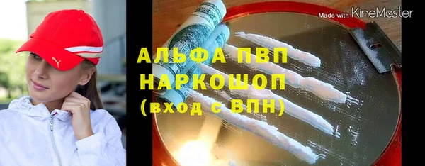 гашик Каменка