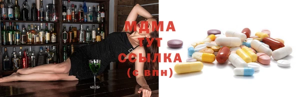 гашик Каменка