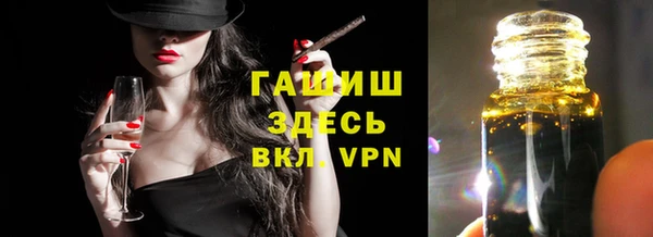 гашик Каменка