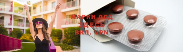 гашик Каменка