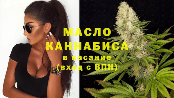 гашик Каменка