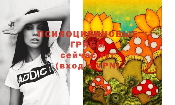 гашик Каменка