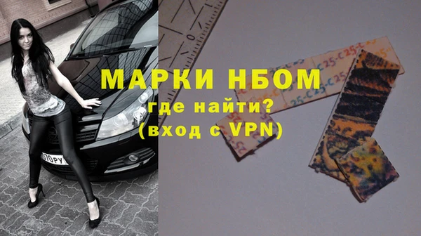 гашик Каменка